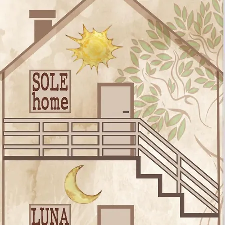 Sole *