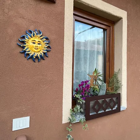 Sole Арона